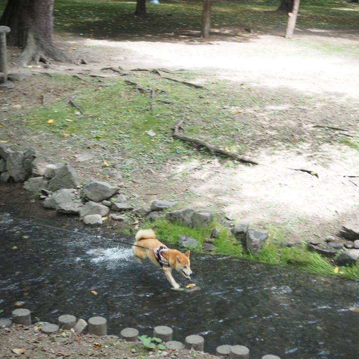 Ea29a405 f6a8 4337 bdb8 eec285008179