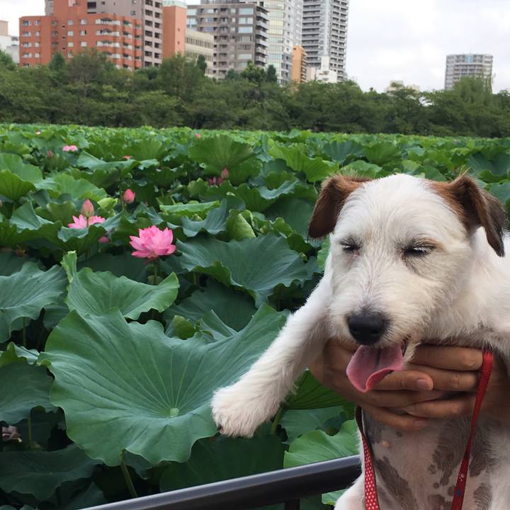 Ea2a41b4 c3d2 4a26 8330 87f577d8ab98