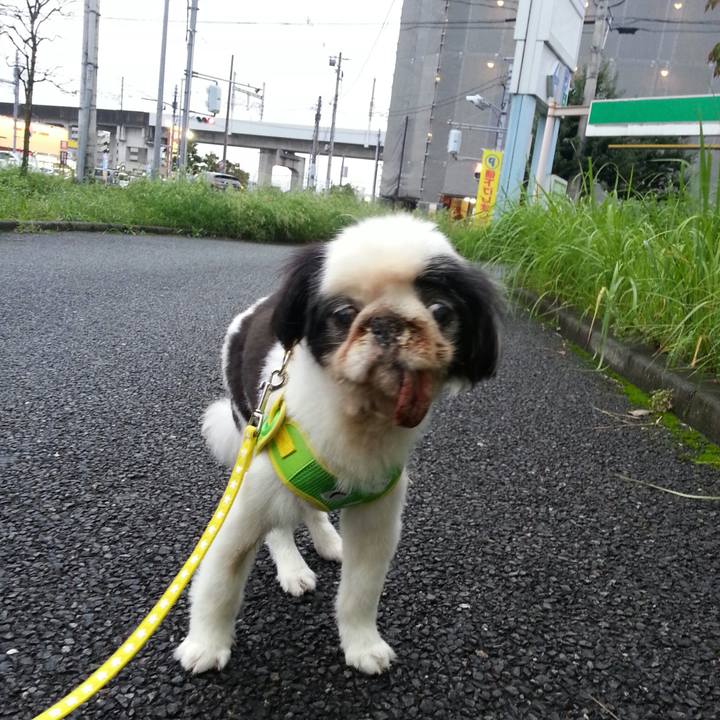 Ea2a4e6e b596 44b9 82e2 9231332346e7