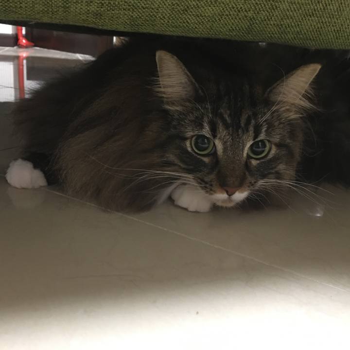 Ea2ad104 9bd1 419e ac70 3e0c9c90f358