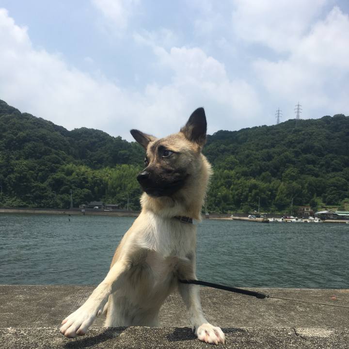 Ea2ae9bc 1893 49de 88a0 a1539acb58b5