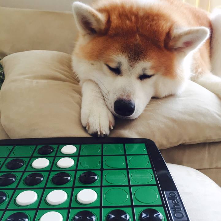 Ea2baa22 19be 45ad b0e9 66cb2b3dbe23