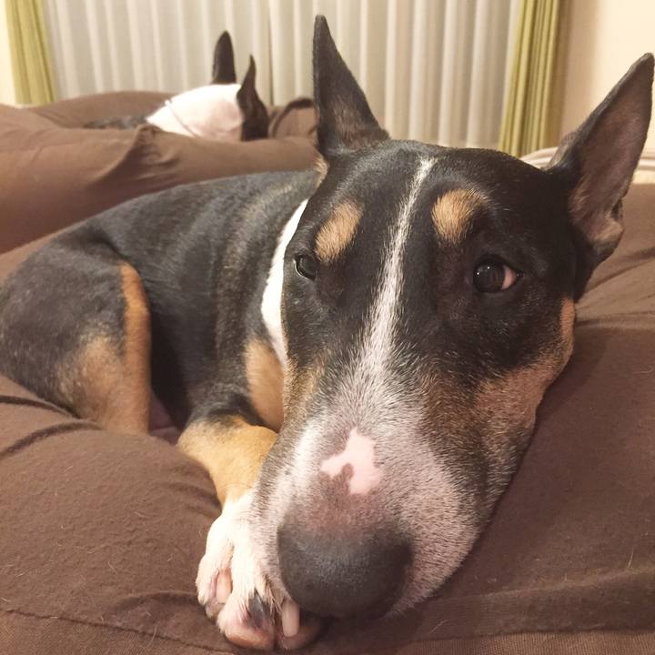 Ea2be836 7b78 42a7 8a0d f7d849747e3e