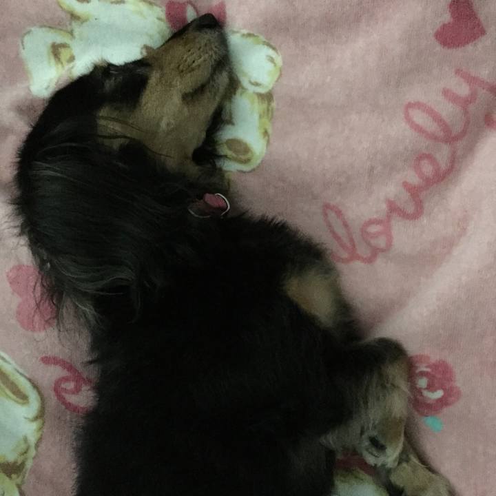 Ea2c22e9 4e00 454e a42e 48f04b9be76a