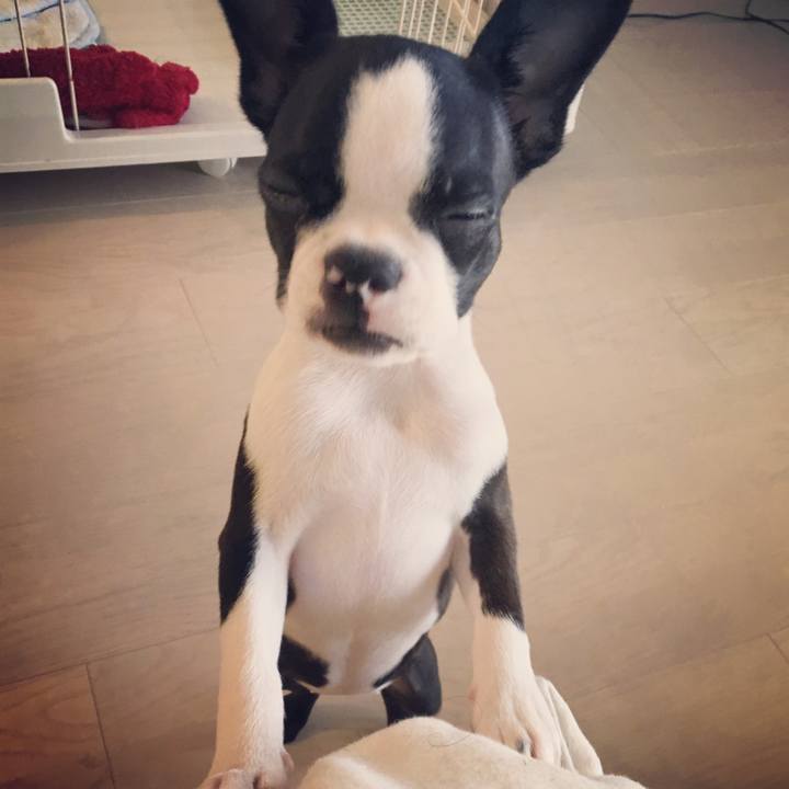 Ea2c25c3 580a 420f b6b9 b09ef389521f