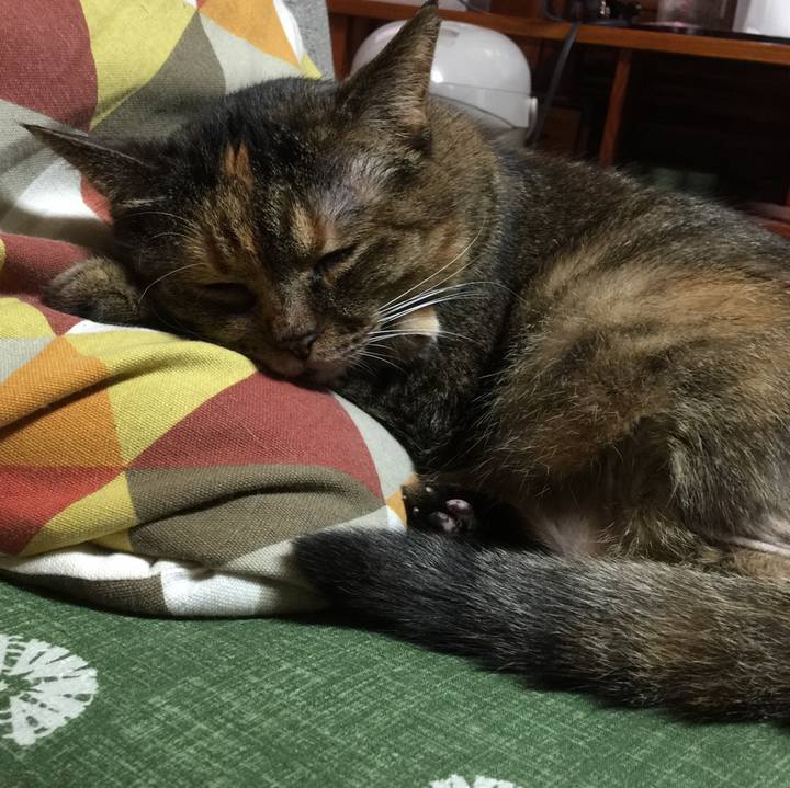 Ea2c8472 fd54 41b7 9c67 15267f3e521c