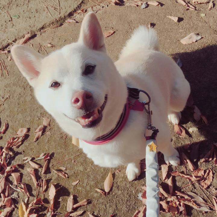 Ea2c9d92 df01 4aa8 952b 4fcf661c5e4a