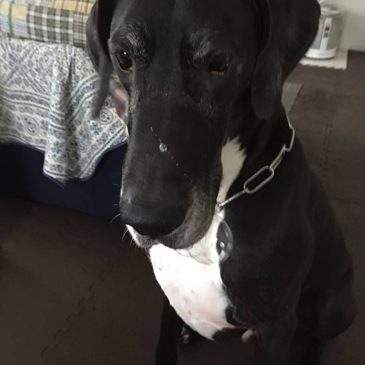 Ea2ca24c 1020 44cc 96e6 7c6e2d8acbaa