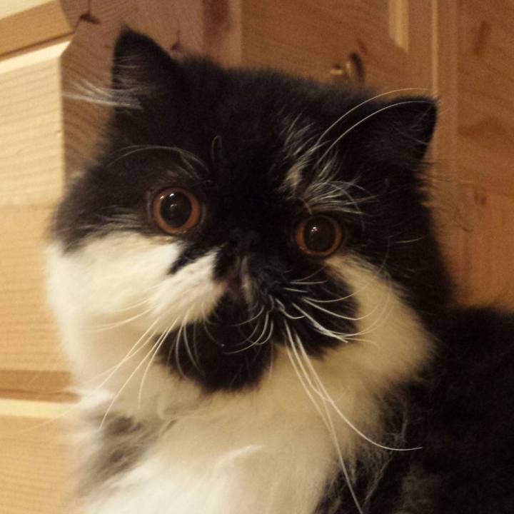 Ea2caa1a 15db 49da 95da f3fc2c6b71d4