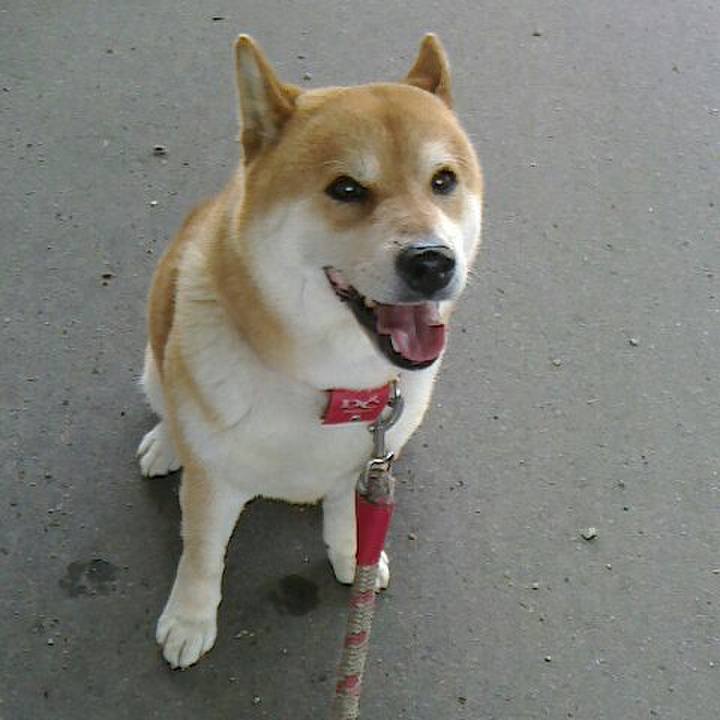 Ea2fc190 8e02 462d addc f473913ee655