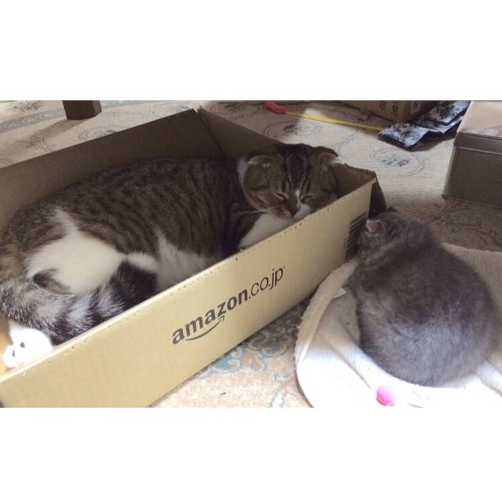 Ea30348b d281 4a18 8cd7 cca2664c9c31