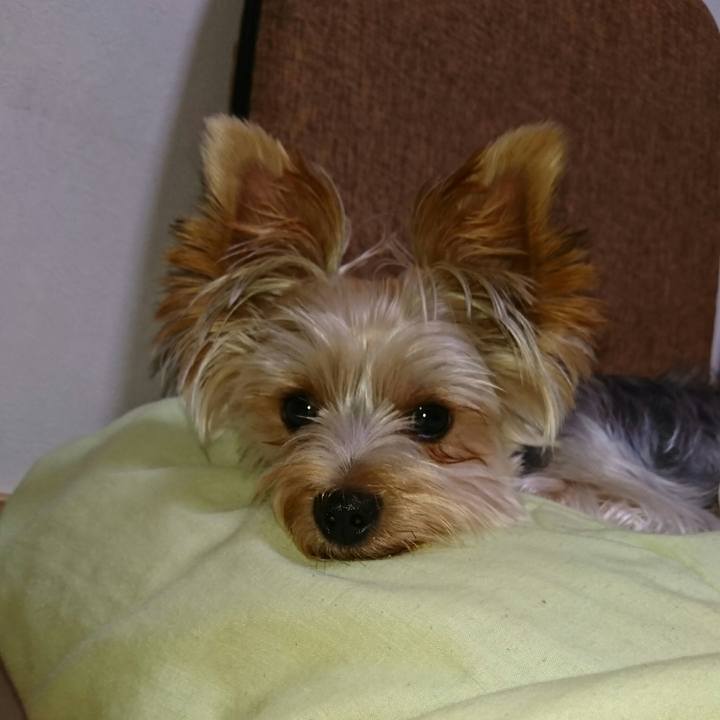 Ea306831 f3b5 45fa 81b7 f1637bd39392