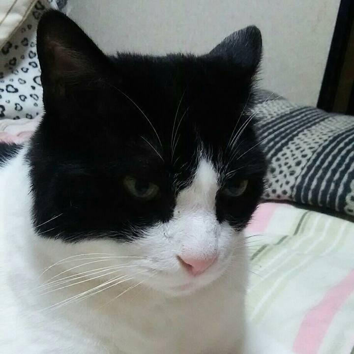 Ea3096a0 8b11 4b45 b808 1b2d0fa9e8a8