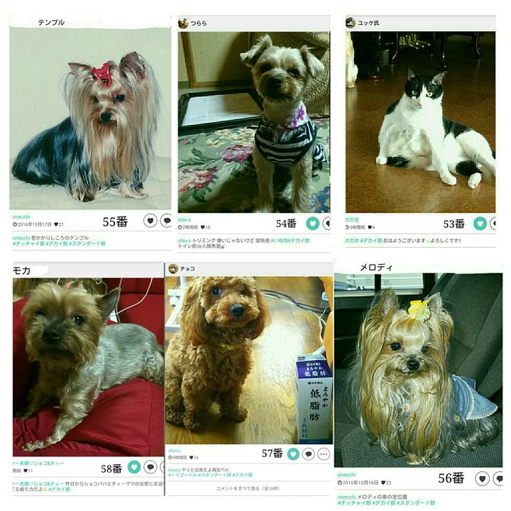 Ea30a6e7 c64f 46ee 8f15 34bc1e4260b0