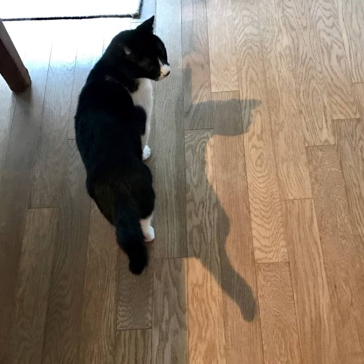 Ea30a940 8883 496b a7b0 411023fcd79e