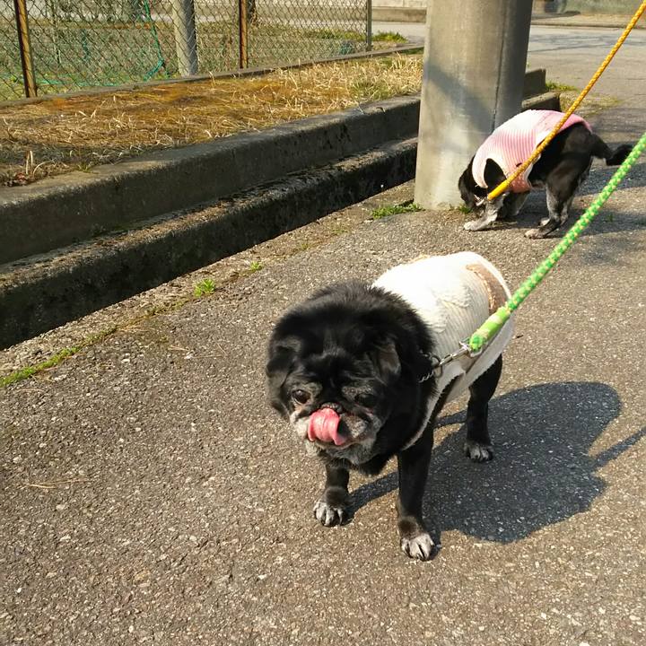 Ea30af76 b53e 43cb 9c3f e7a2df532fa9