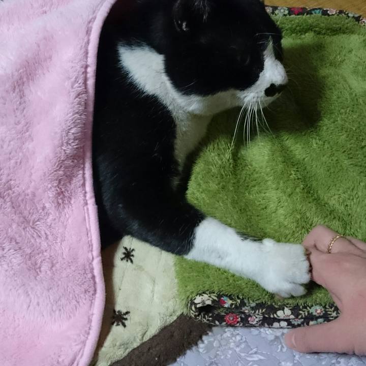 Ea31745e a12b 4722 947e 7e68678f936f