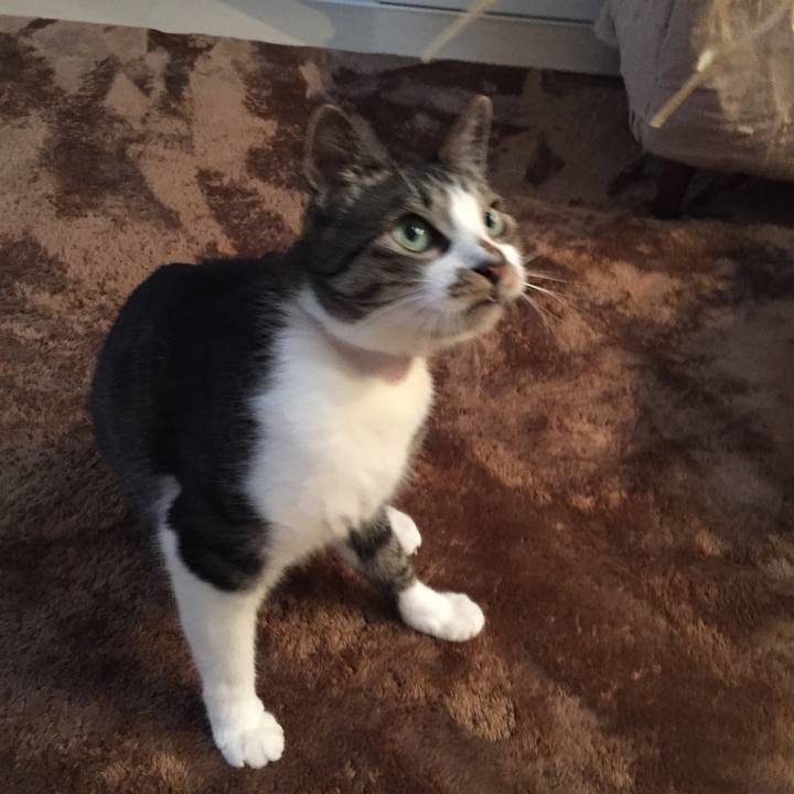 Ea3257fd 33b0 4652 b37f cee4ca8aecee