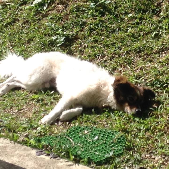 Ea325e5c bafb 4d47 8e6d 7624b54b8db0