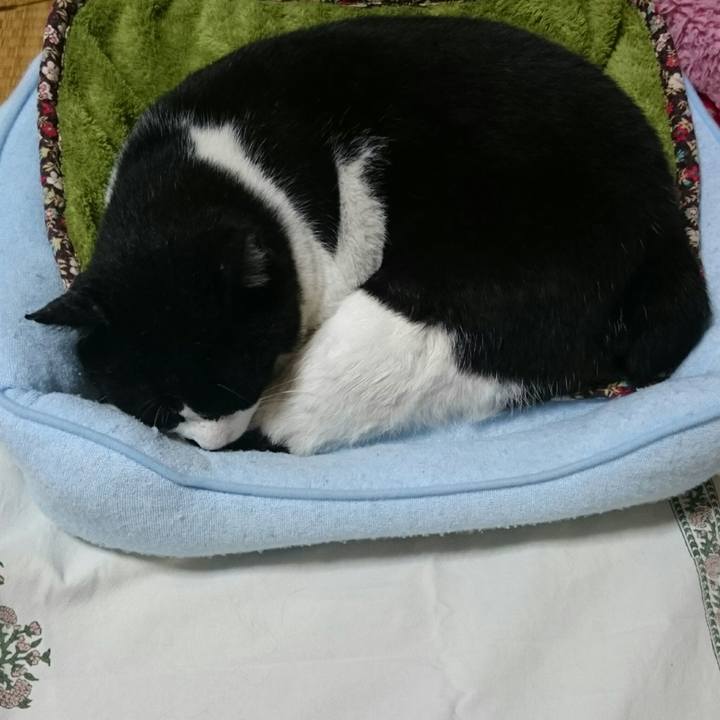 Ea3292b6 f40d 4b21 9ae2 749dfbda883c