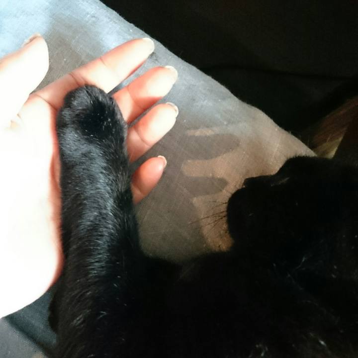 Ea329c25 a14f 4d31 b770 31c78106711f