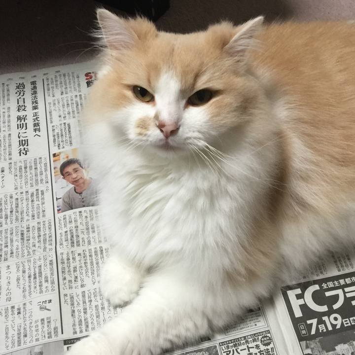 Ea33b273 7540 4cae aa73 22d6e7291043