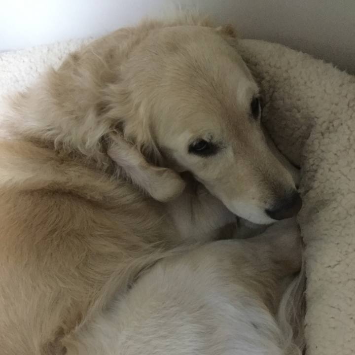 Ea33b6dd e8ca 4180 9980 46eedcf38289