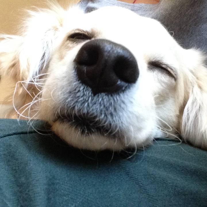 Ea34a7e3 1824 4548 a97c 0d3bdcc44453