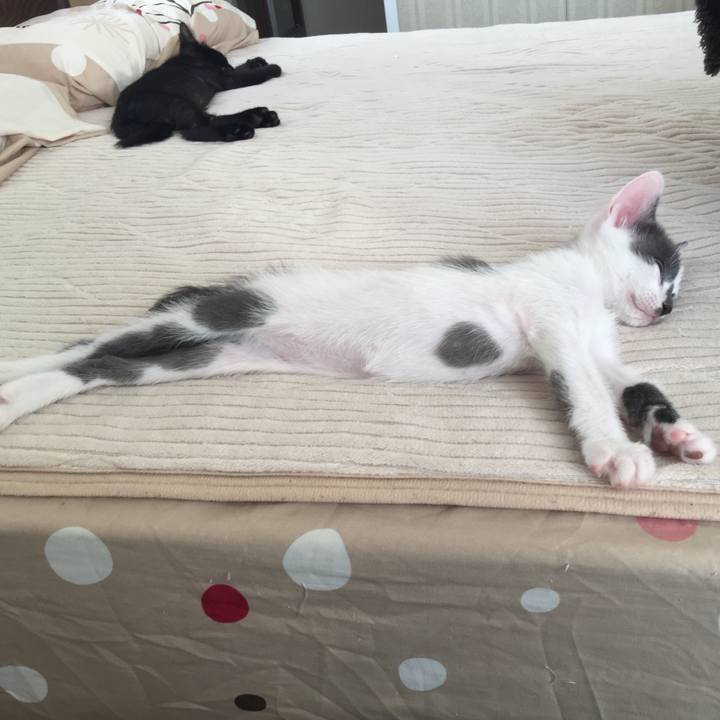 Ea34e120 7cba 4ffd aa37 72f5f57c16ca