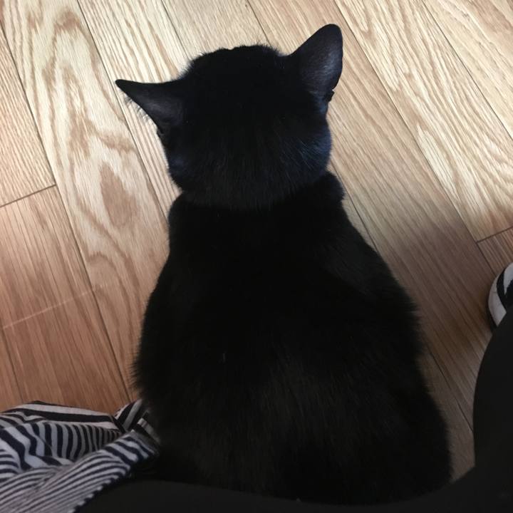 Ea352bc9 8d07 42f3 8930 6ee7d59fe4d9