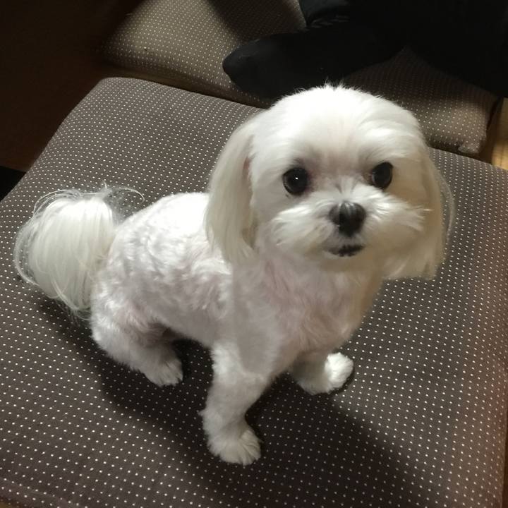 Ea36e35b f24b 401a 91bb f70ee0c24f02