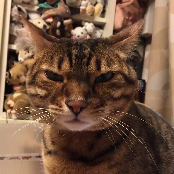 Ea370c24 c22f 4222 a403 e3b53077b97e