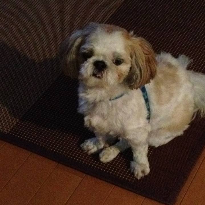 Ea372e30 eb24 4889 91fa 3ce5c9b95f24