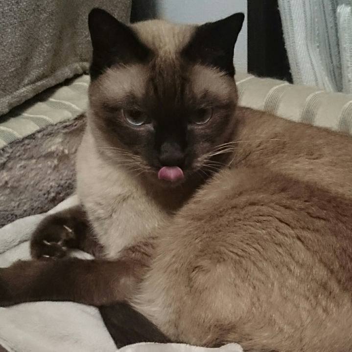 Ea378df2 c1dd 49e7 a17f b21c711087eb