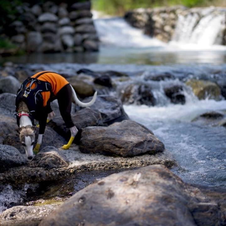 Ea378f7f d0d1 45f0 97d4 e6ebad07ad2c