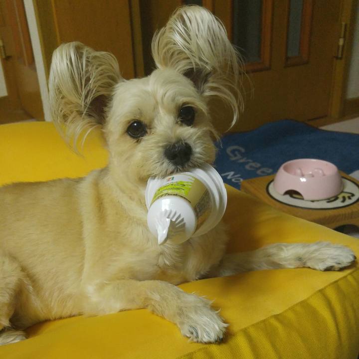 Ea37f956 ace9 4096 be24 7d3fe6586a83