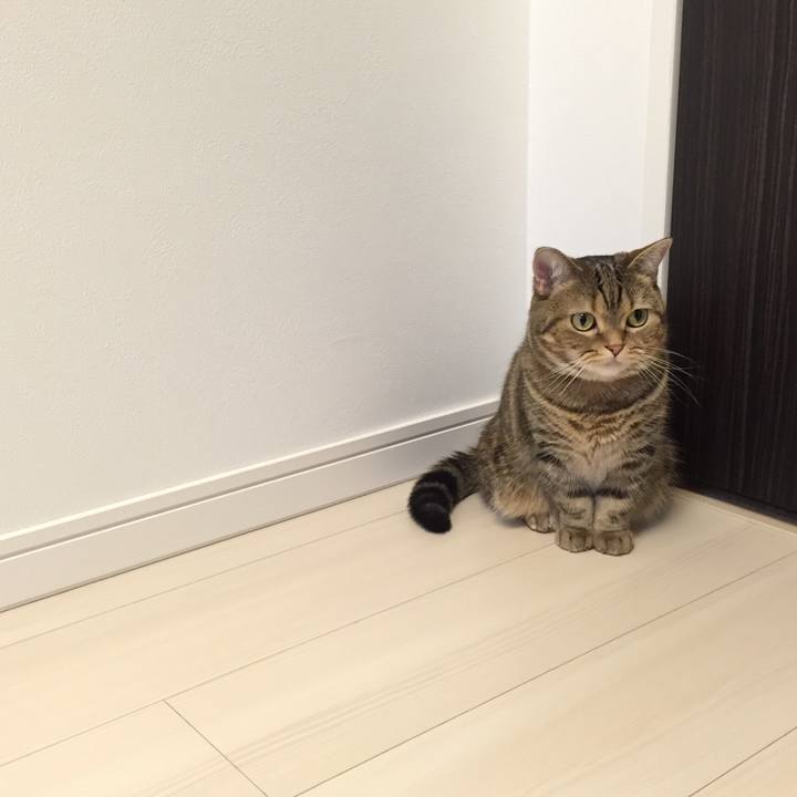 Ea382930 efba 4156 ae41 8e283b02e5b7