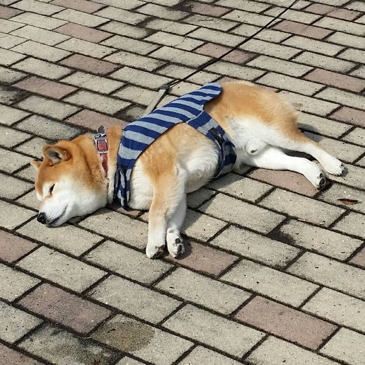 Ea386c9b 12a5 450b 97e7 d4f841dc6019