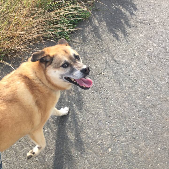 Ea3889ef 7807 4db4 b8b4 841bff7fc45c