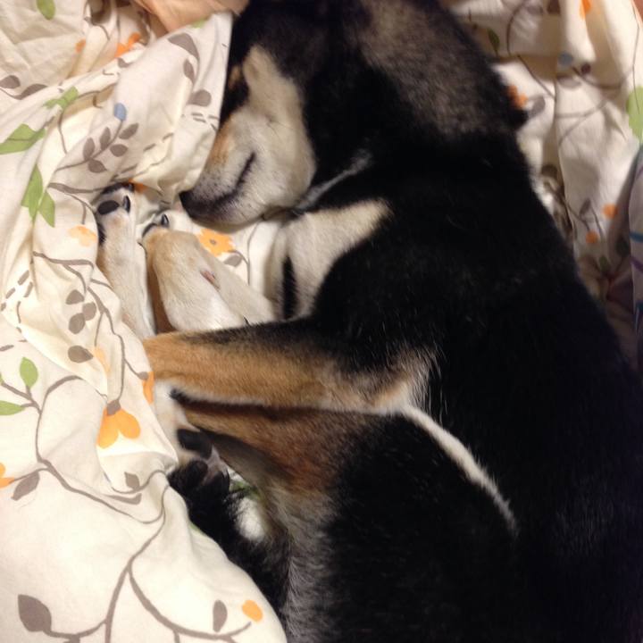 Ea39726d a42b 4dfe 9d0e c3836472137f