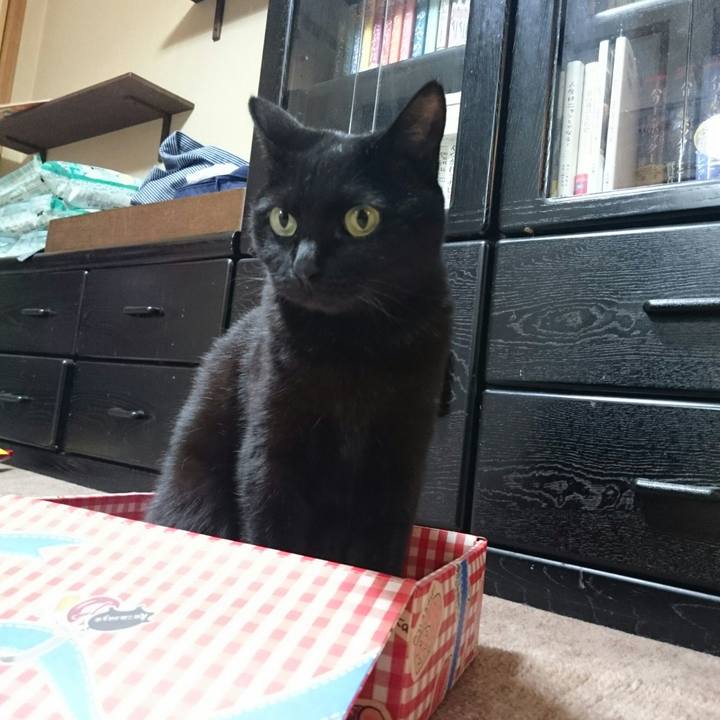 Ea3a2601 daea 4149 8a15 9ca49012d22e