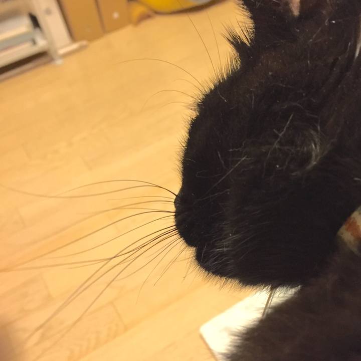 Ea3a6552 ef33 4b75 a34f 7e366d481b63