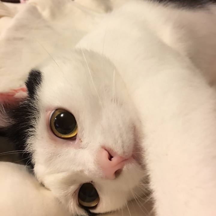 Ea3ae5c4 56d1 49bc bb52 05d677984436