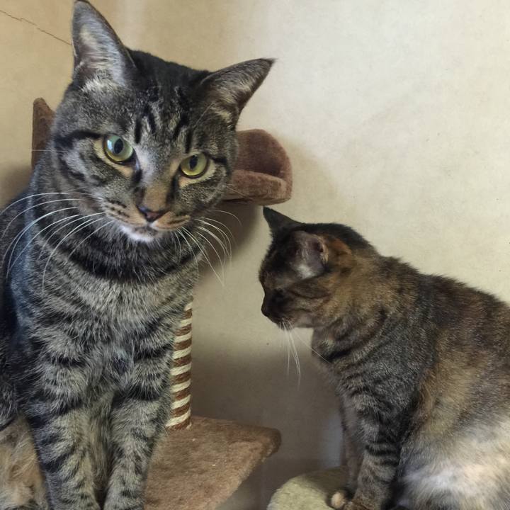 Ea3b15e3 7ffa 4779 a11e e5ace8a1b53e