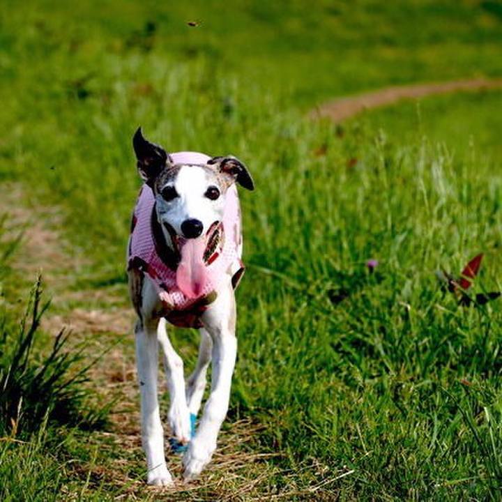 Ea3baec0 f9f6 4b1f be0a d354a859e8c7