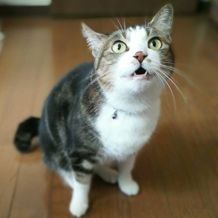 Ea3c0d4b f34a 416b a964 fa27a1a7dc22