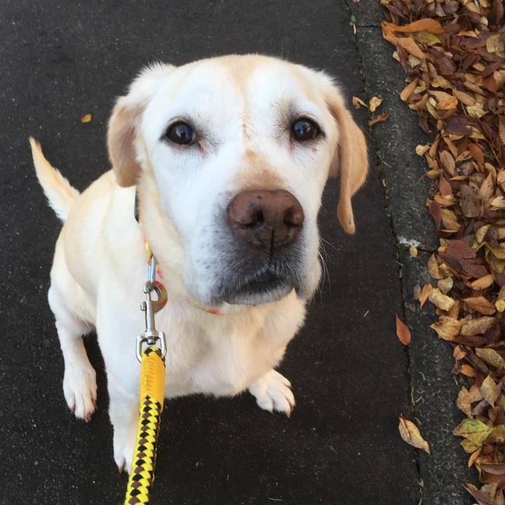 Ea3c7e42 320a 4592 9333 2c5c5c39fa17