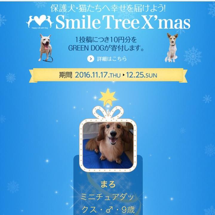 Ea3d564b 5d9f 4bc0 8e3b 39dda03f0844