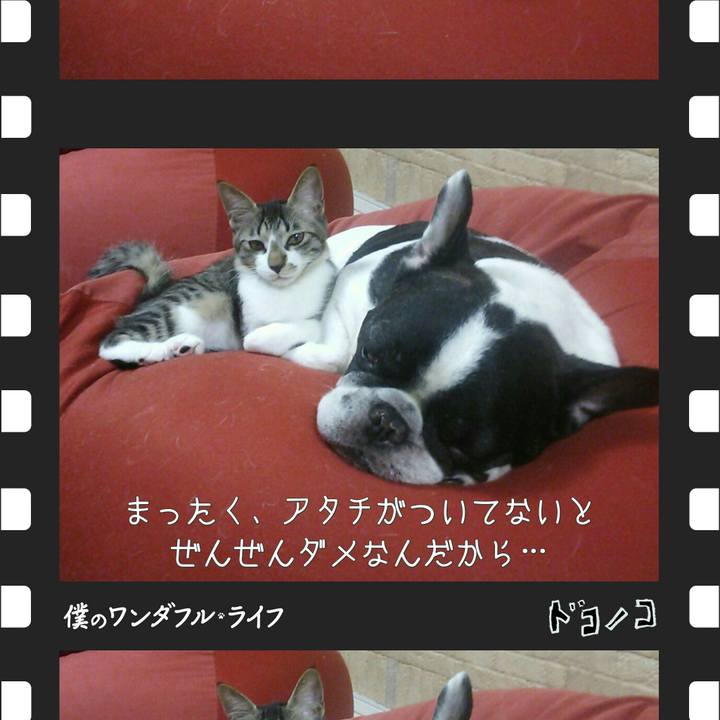 Ea3d76a7 7e7b 48f5 b702 aa9afdf965d3