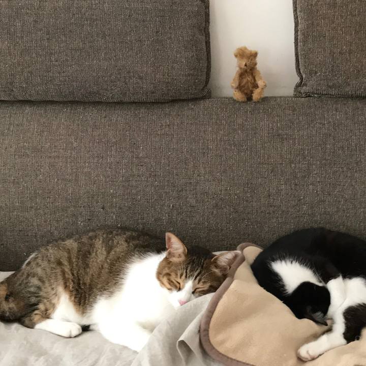 Ea3e05b9 36e3 4006 872c ef42f07ad1ba